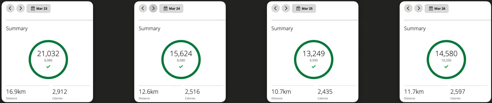 Garmin stats