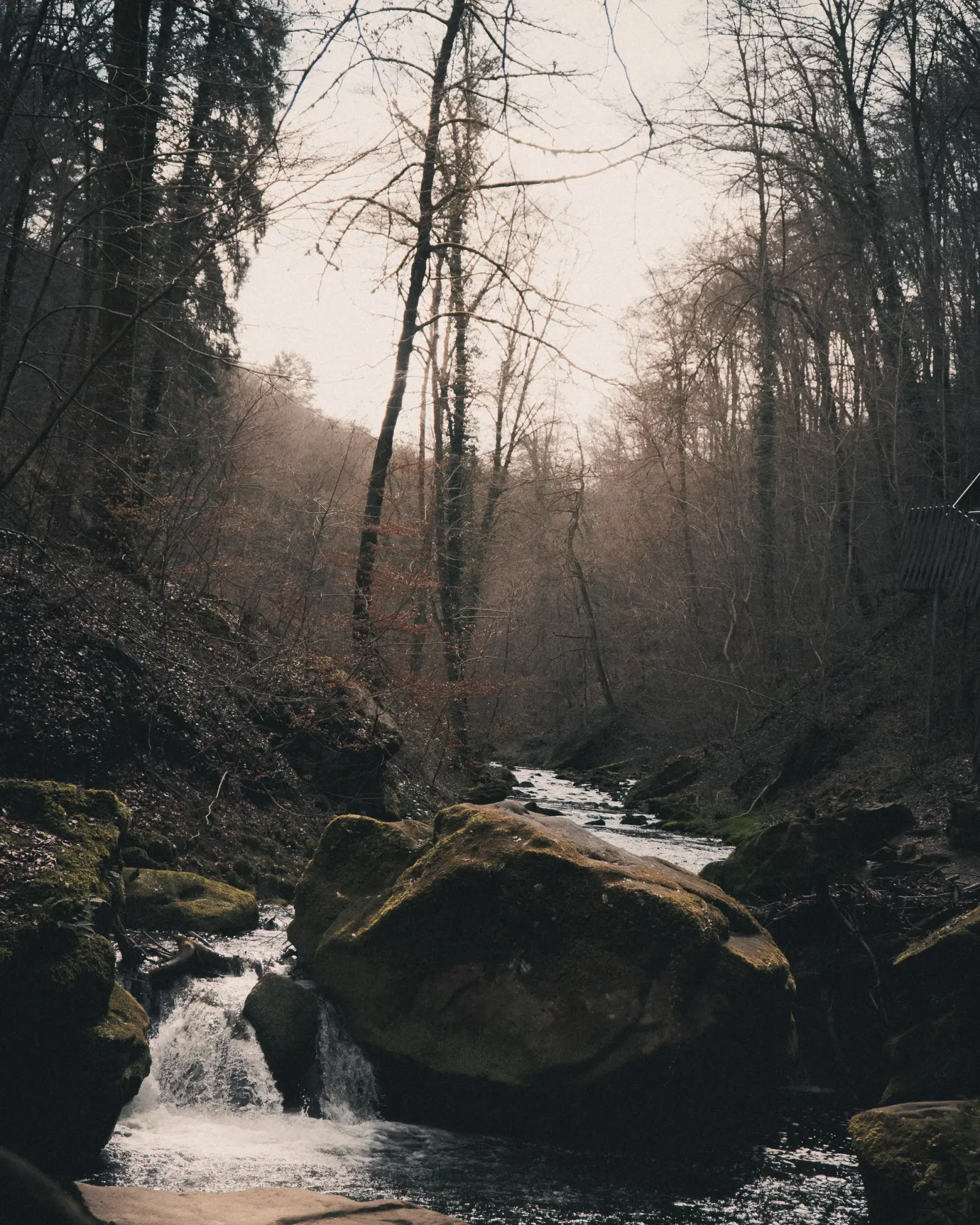 Amazing rivers here and there. Small river flowing through the Mullerthal forest