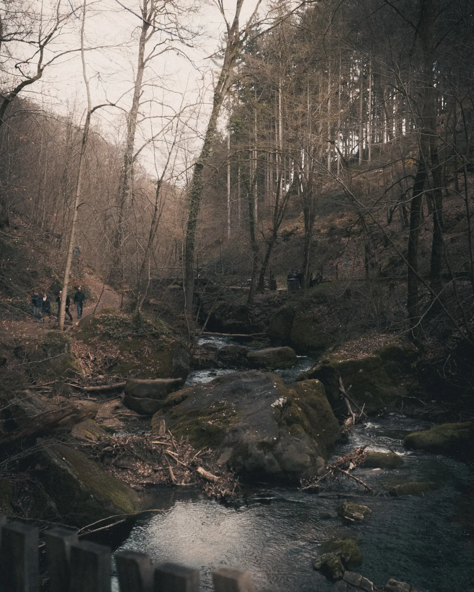 Sunlight reflecting off the surface of a stream