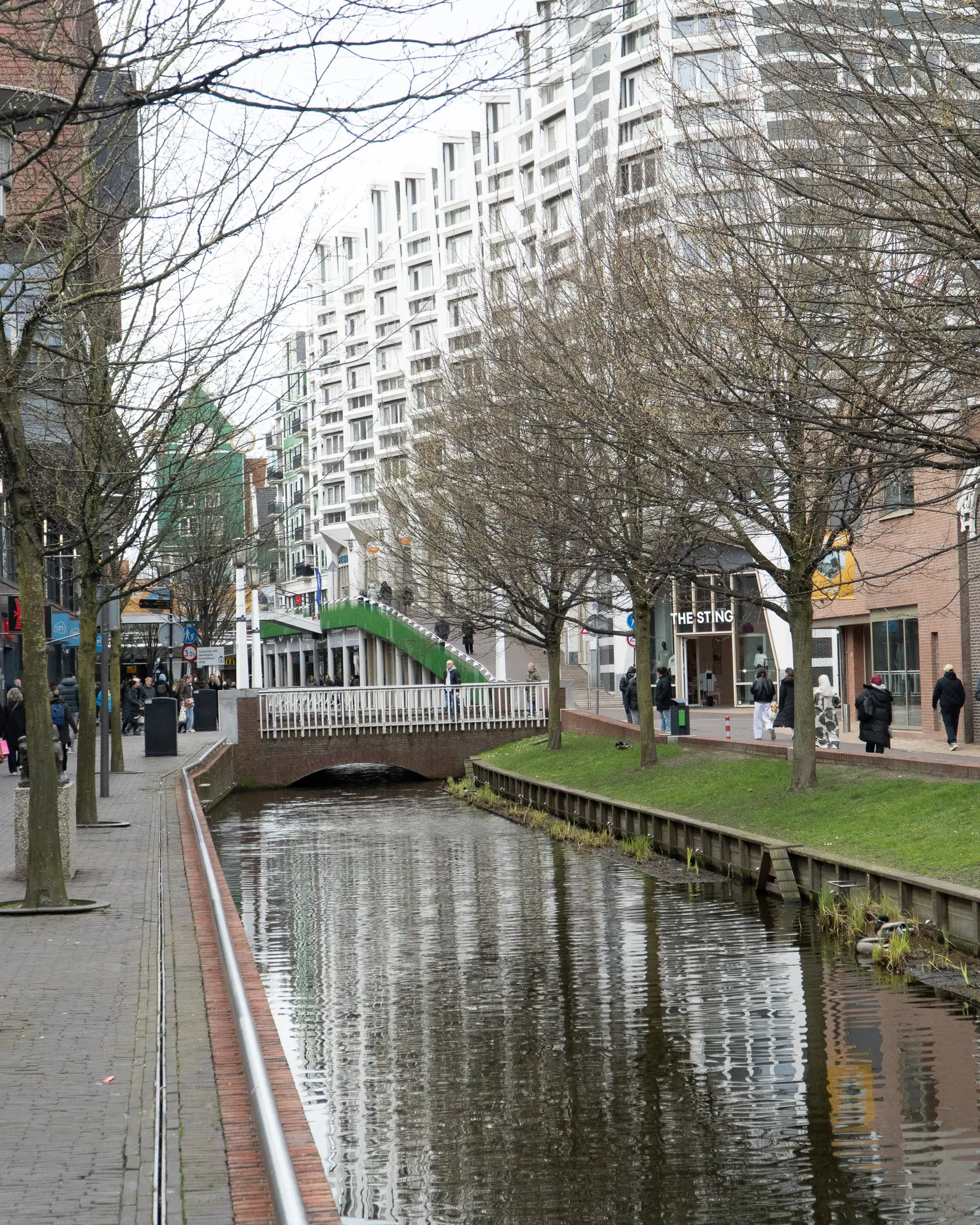 Zaandam 2